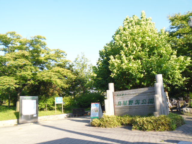 公園　県立鳥屋野潟公園 女池地区（公園）まで1018m
