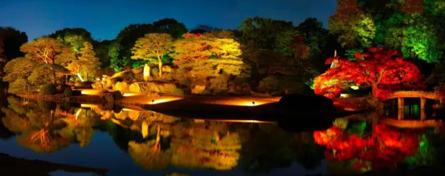 公園　六義園（公園）まで887m