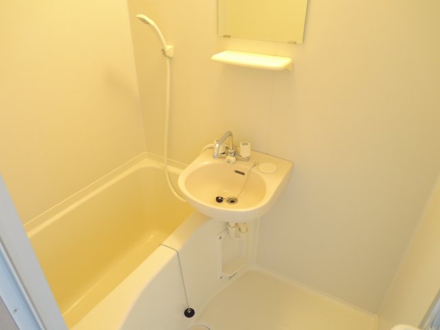 バス・シャワールーム　※画像は別部屋