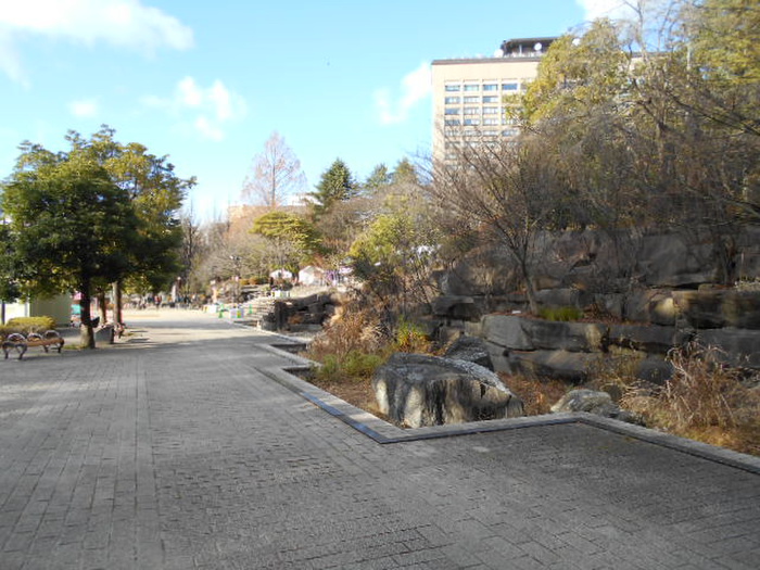 公園　勾当台公園（公園）まで805m