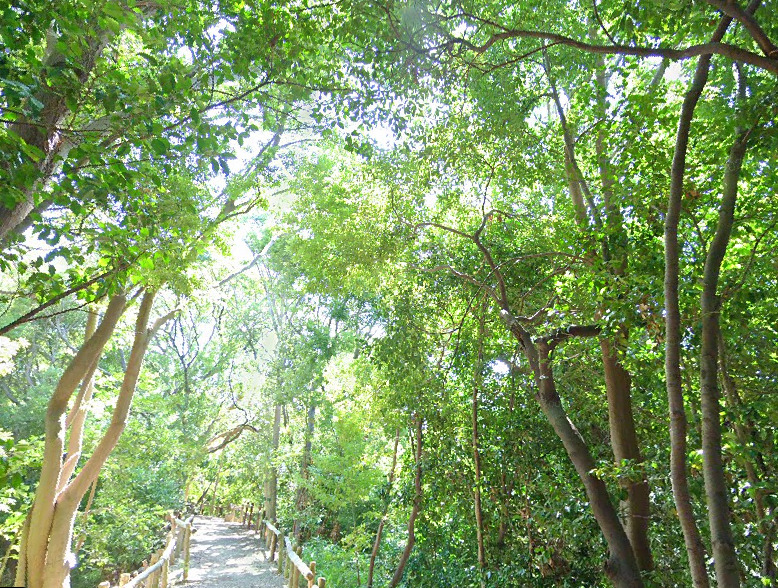 公園　猪名川風致公園（公園）まで1308m