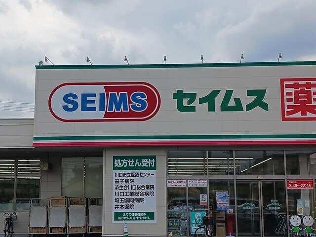 その他　ドラッグセイムス川口天神橋店（その他）まで337m