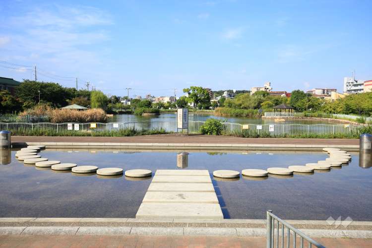 公園　市場池公園（公園）まで1157m