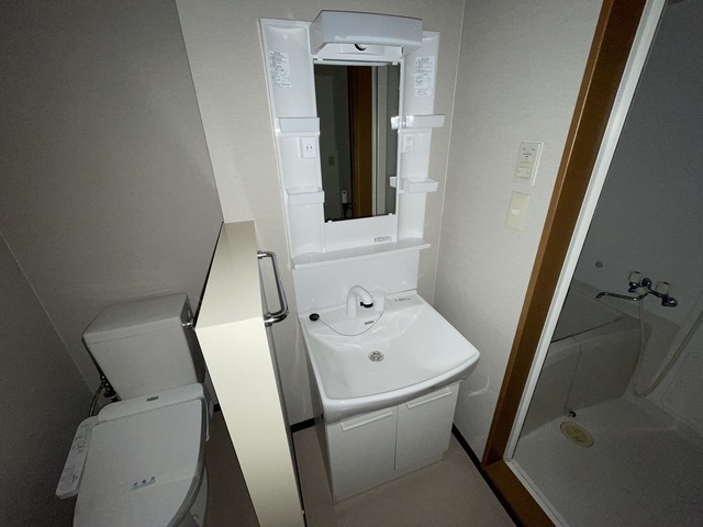 洗面設備　写真は違う号室です。
