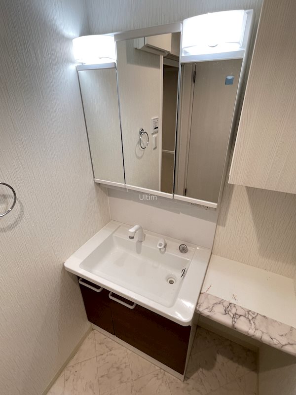 洗面設備　別の部屋の写真