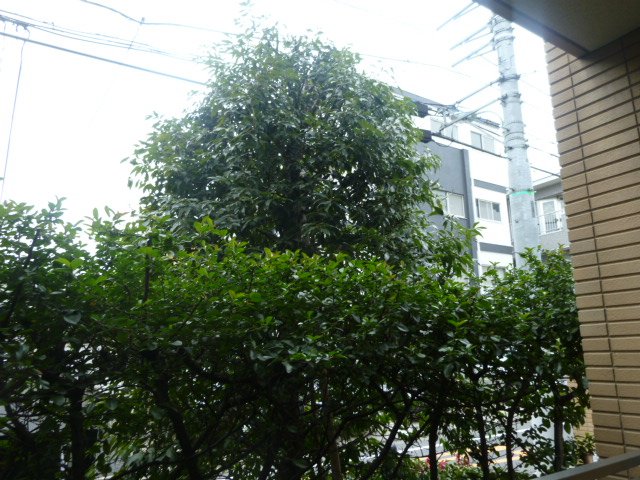 眺望　眺望