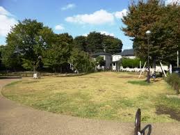 公園　桜木ふれあい緑地（公園）まで575m