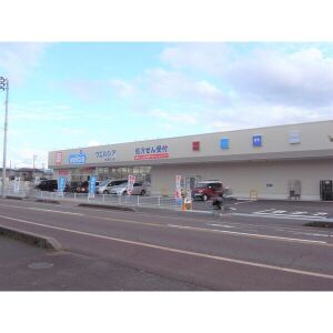 ドラックストア　ウェルシア新潟荻川店（ドラッグストア）まで1356m
