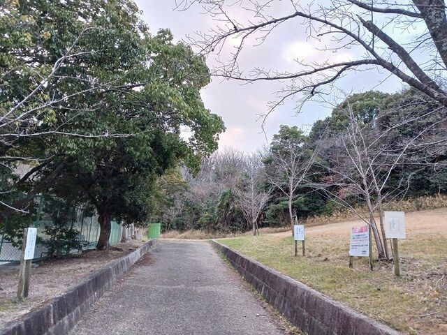 公園　愛の緑公園（公園）まで503m