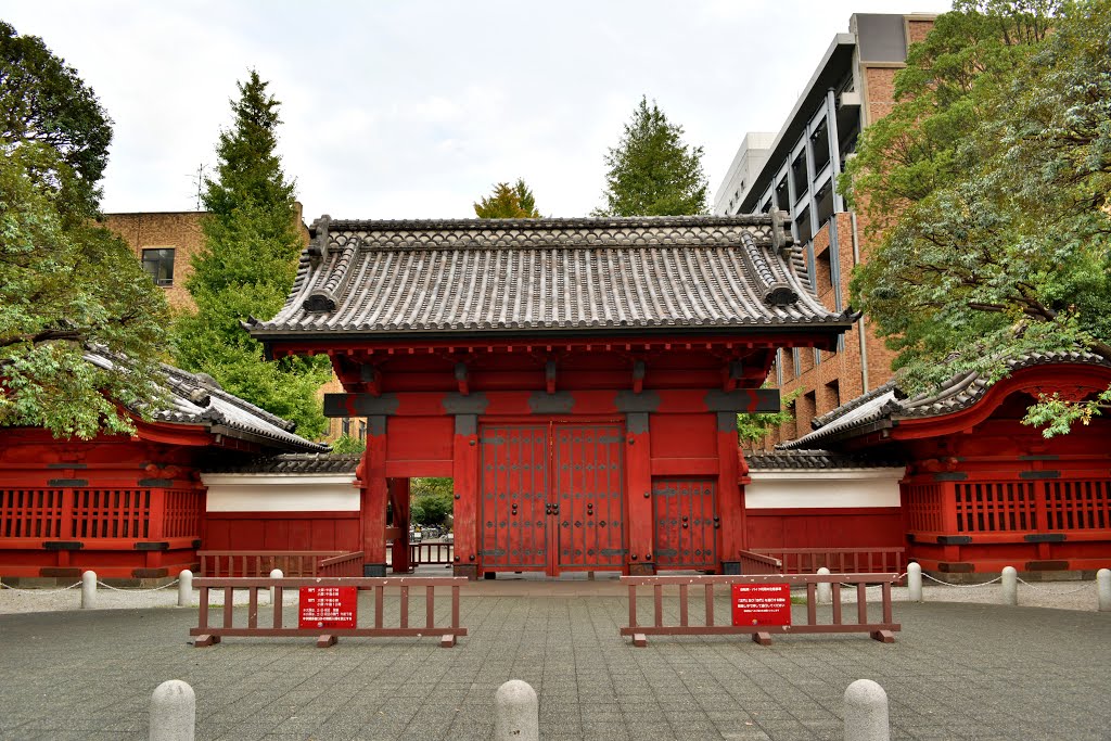 大学・短大　東京大学赤門（大学・短大）まで1102m