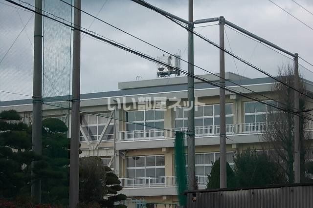小学校　今治市立立花小学校（小学校）まで717m