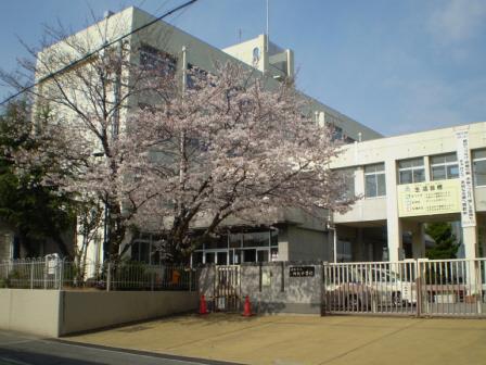 中学校　城乾中学校（中学校）まで459m