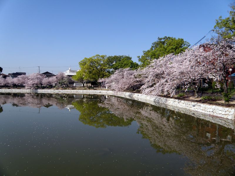 公園　万代池公園（公園）まで797m