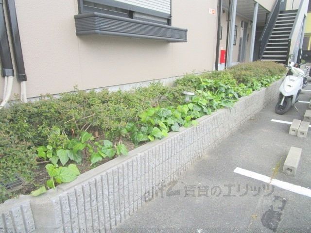 庭　植栽