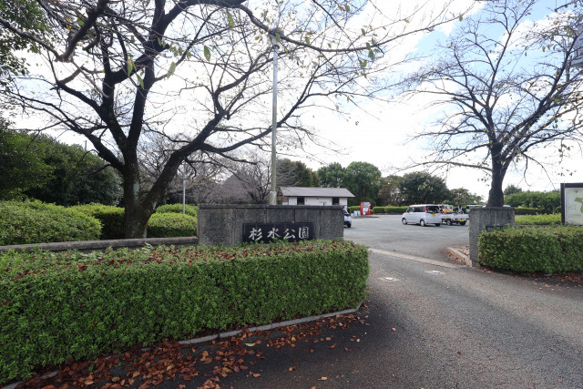 公園　杉水公園（公園）まで1300m