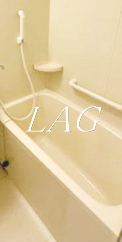 バス・シャワールーム　お風呂(同仕様)です。