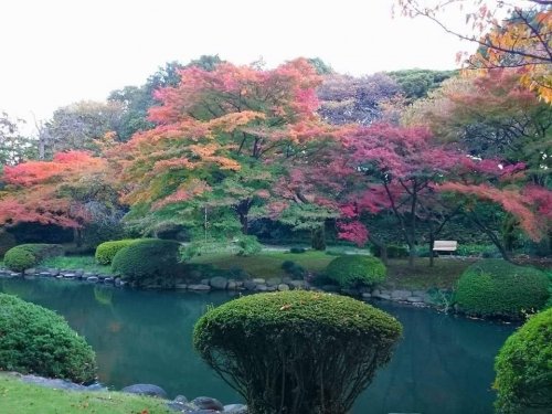 公園　新宿御苑（公園）まで1920m