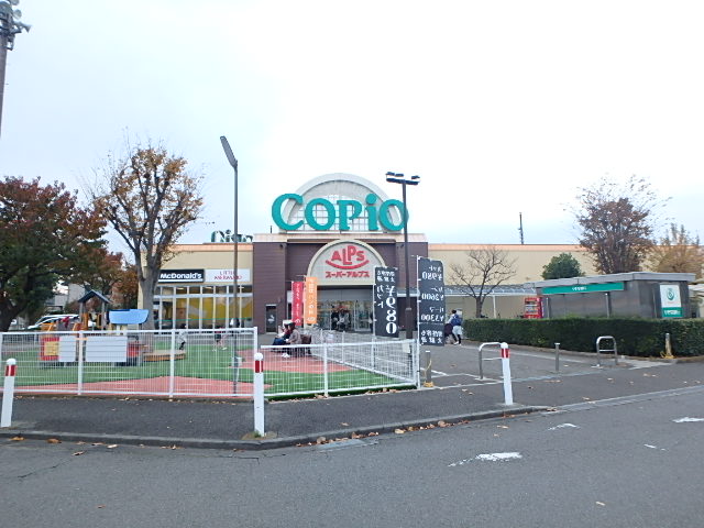 スーパー　スーパーアルプス 城山店（スーパー）まで435m