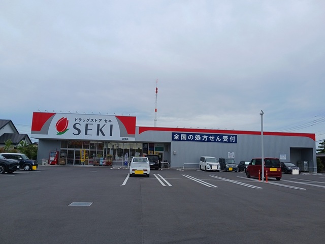 ドラックストア　ドラッグストアセキ　道場店（ドラッグストア）まで280m