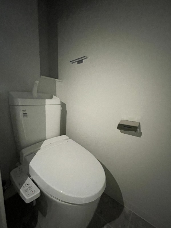 サーパスフォーシア大供のトイレ写真
