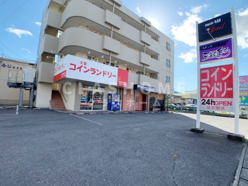 プリム・ローズの周辺写真