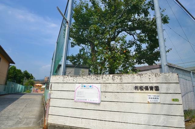 幼稚園・保育園　利松保育園（幼稚園・保育園）まで243m