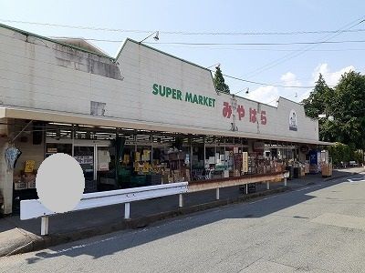 スーパー　スーパーマーケットみやはら（スーパー）まで750m