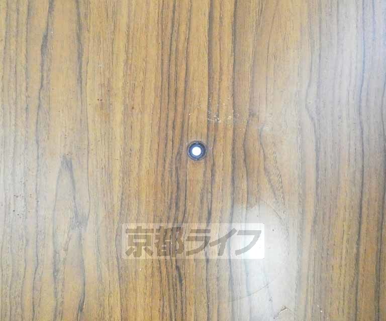 セキュリティ　覗き穴になります
