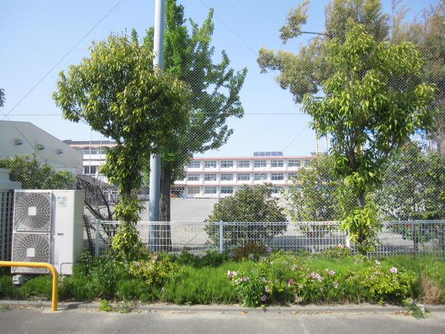 小学校　浜松市立入野小学校（小学校）まで917m