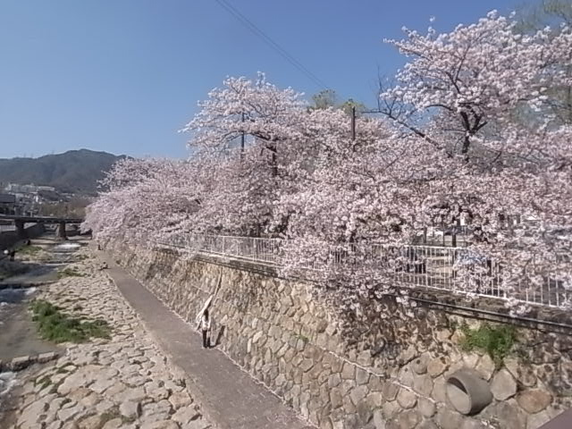 【神戸市灘区神ノ木通のマンションの公園】