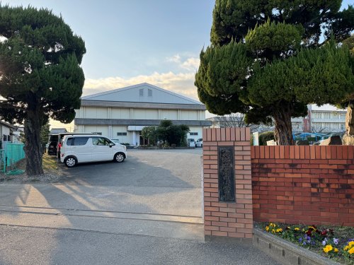 HANOHANO_その他_7