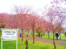 【府中市住吉町のアパートの公園】