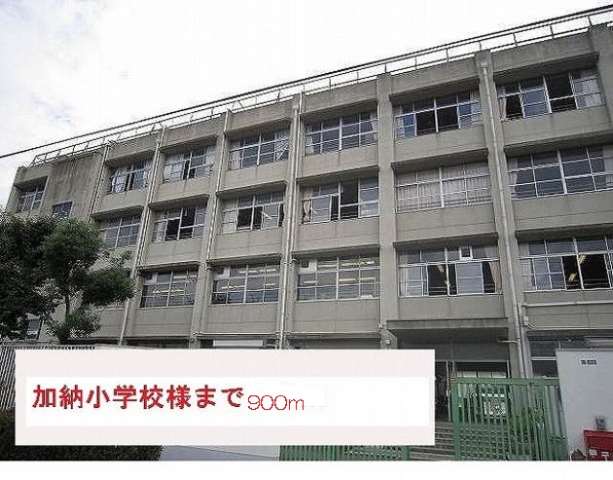 小学校　加納小学校（小学校）まで900m