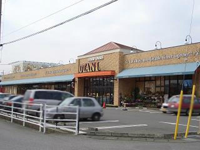 スーパー　フードオアシスOTANI平松店（スーパー）まで490m