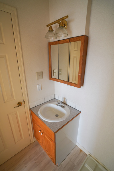 洗面設備　同じ建物の別のお部屋