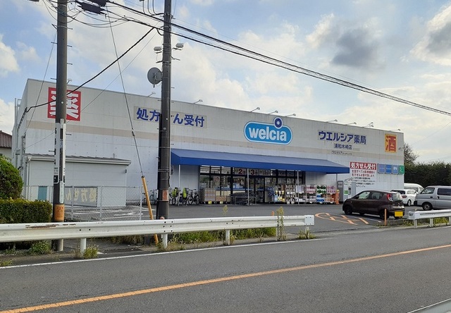 ドラックストア　ウエルシア　浦和木崎店（ドラッグストア）まで250m