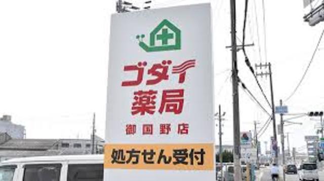 その他　ゴダイドラッグ　御国野店(調剤薬局)（その他）まで1574m