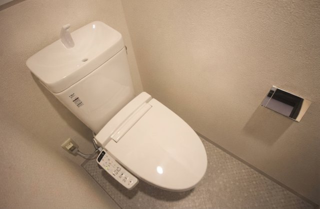 東急田園都市線 三軒茶屋駅 徒歩8分 5階建 築9年のトイレ写真