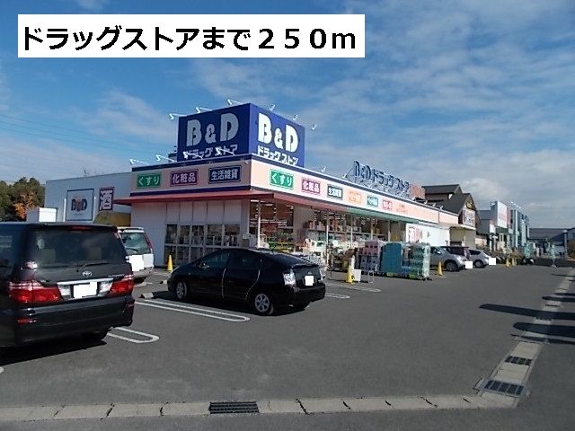 ドラックストア　薬局（ドラッグストア）まで250m