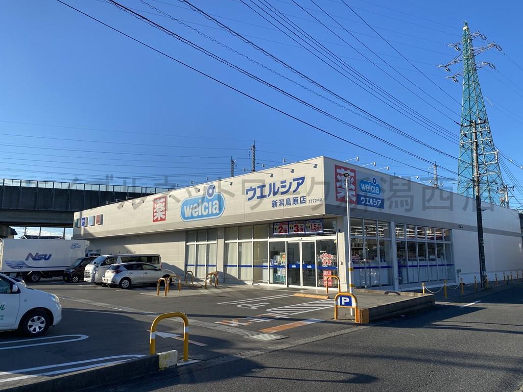 ドラックストア　ウエルシア新潟鳥原店（ドラッグストア）まで1165m