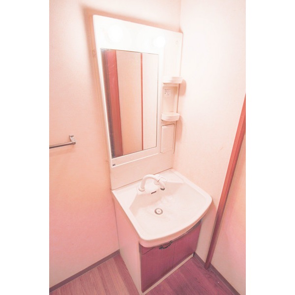 洗面設備　同じ建物の別の部屋