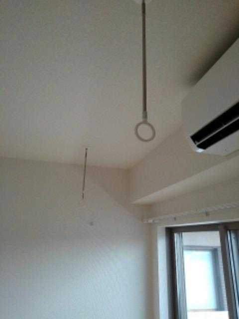 その他　花粉や梅雨の時期に便利なホスクリーン完備。