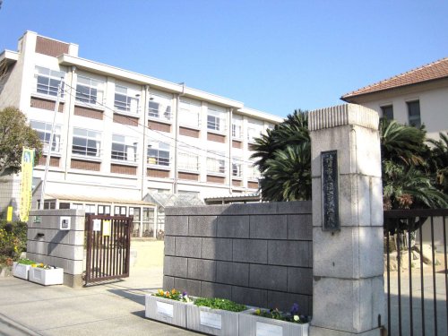小学校　神戸市立住吉小学校（小学校）まで721m