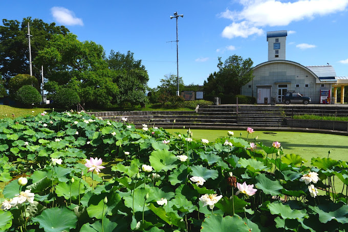 公園　中央市玉穂ふるさとふれあい広場（公園）まで1125m