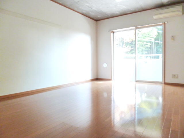 居室・リビング　広々使いやすい１１．４帖の洋室