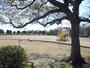 公園　朝霧公園（公園）まで1228m