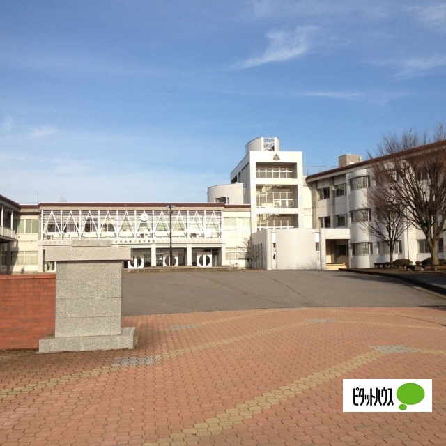 中学校　富山市立藤ノ木中学校（中学校）まで2798m