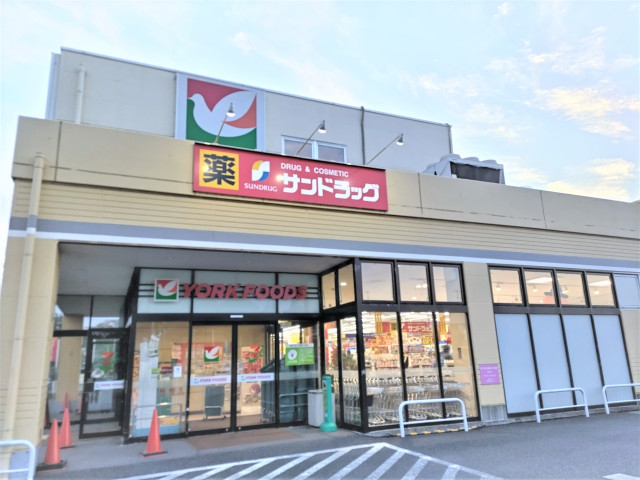 スーパー　ヨークフーズ　東岩槻店（スーパー）まで1100m