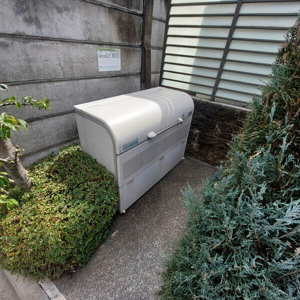 庭