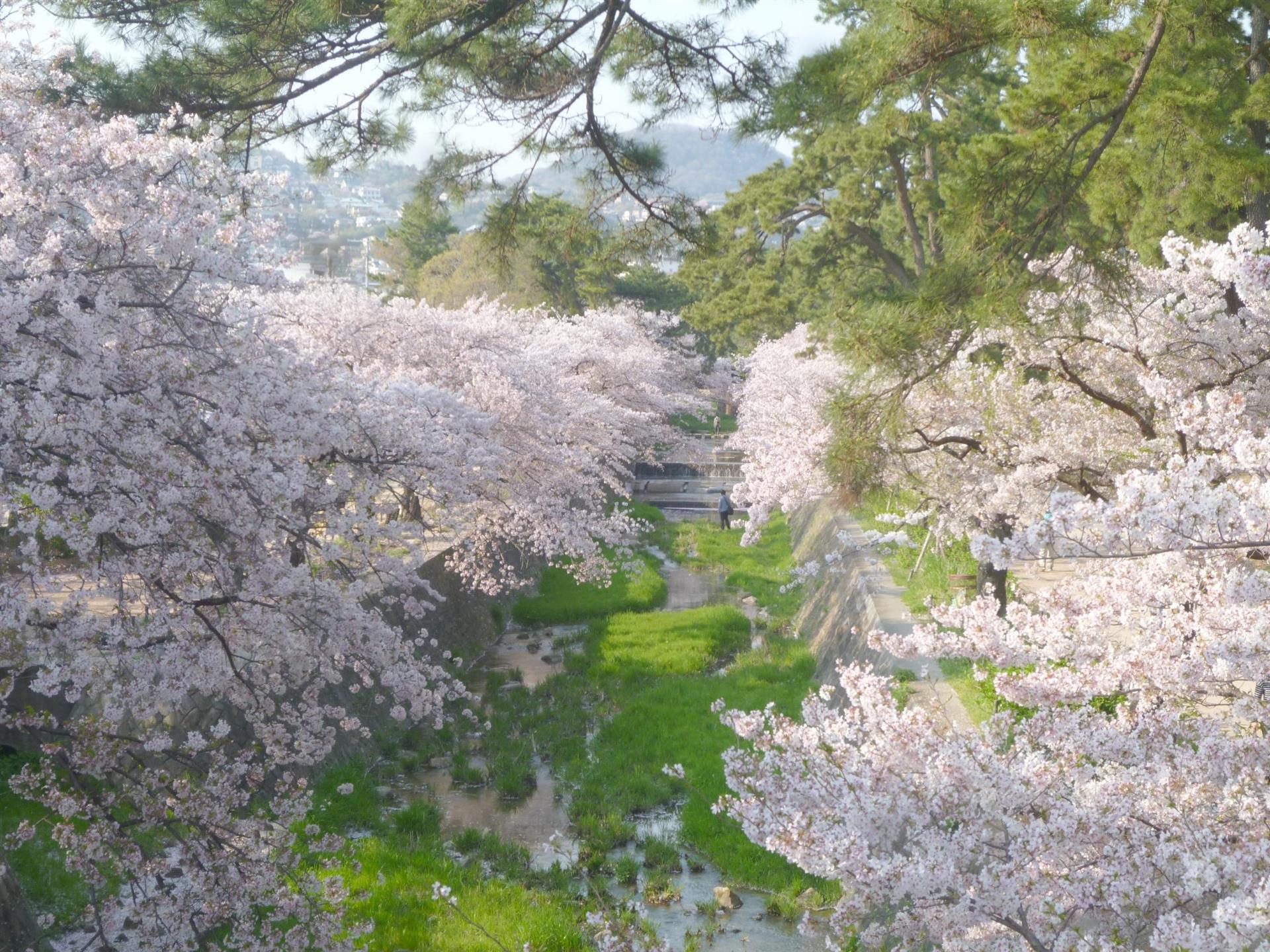 その他　夙川公園